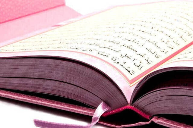 Holy Quran - Simple Arabic - PINK